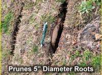 Root Pruner