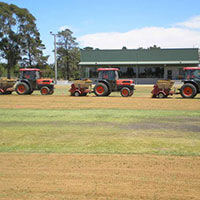 Top Dressing