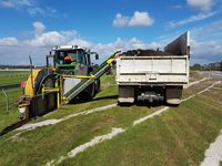 Sand Slit Drainage by Lawn and Turf Maintenance