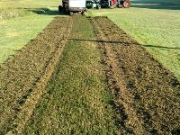 Scarifying