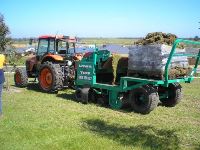 Sports Surfaces Line Planting