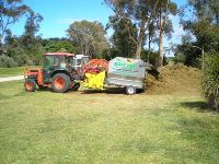 The Busy Bee Turf Renovator