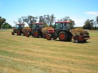 Top Dressing