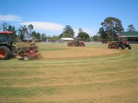 Top Dressing