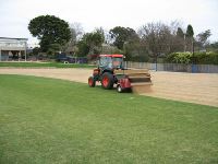 Top Dressing