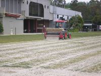 Top Dressing