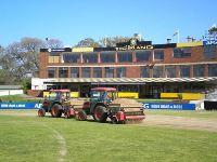 Top Dressing