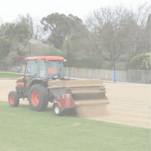 Top Dressing